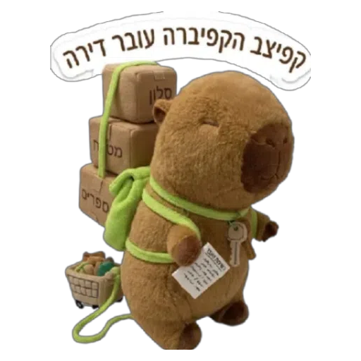קפיצב עם ארגזים